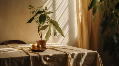 Potted plant on table