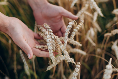 Close-up of hand holding rope