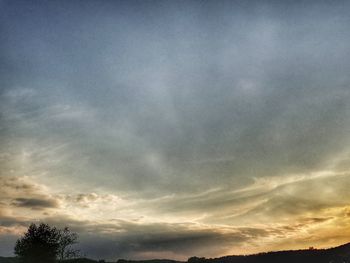 Low angle view of silhouette trees against sky at sunset