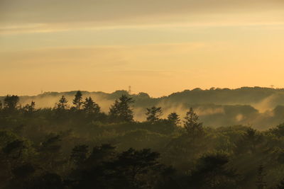 Scenic view of trees against sky during sunset