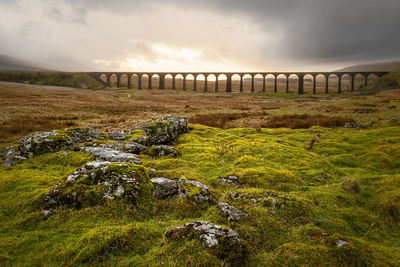 Ribblehead viaduct with its 24 stone arches