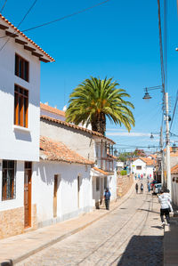 Street by palm trees and buildings against blue sky