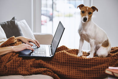 Woman working at home with her dog