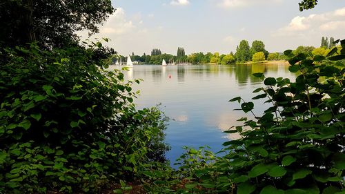 Scenic view of lake against sky