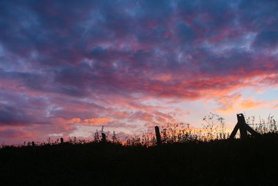 Silhouette plants on field against sky during sunset