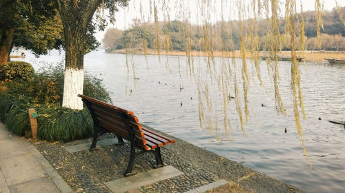 Empty chairs by lake against trees