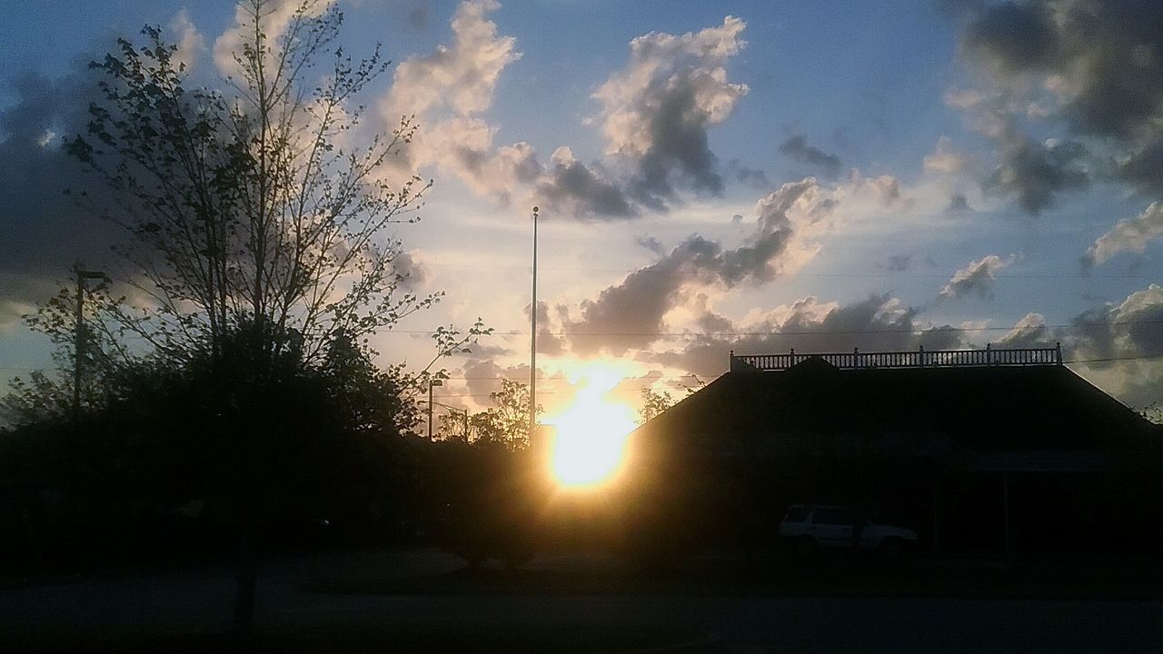 SILHOUETTE TREES AGAINST SKY AT SUNSET