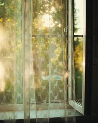 Trees seen through curtain by wind at home