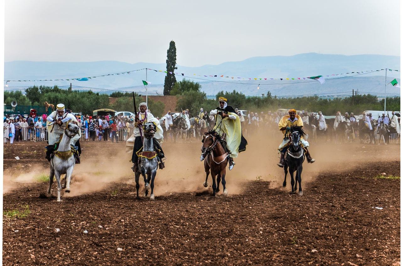 Salon du cheval d'Alger