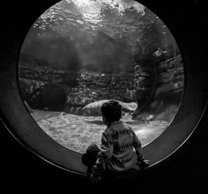 Rear view of boy standing in aquarium