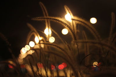 Close-up of illuminated lights at night