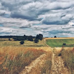 Scenic view of field against cloudy sky