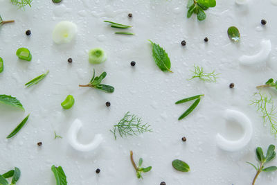 High angle view of food on table