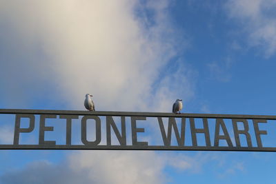 Low angle view of birds perching on sign against sky