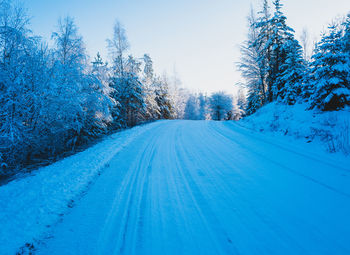 Trees on snow covered landscape