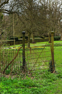 Wooden fence on field in forest