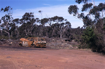 Abandoned car against trees