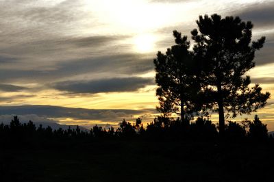 Silhouette trees against sky during sunset