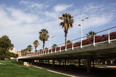 Bridge by palm trees against sky