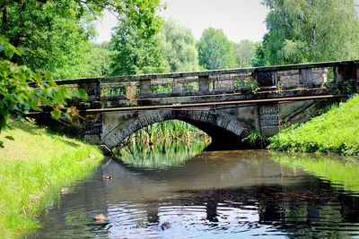 Bridge over river amidst trees against sky