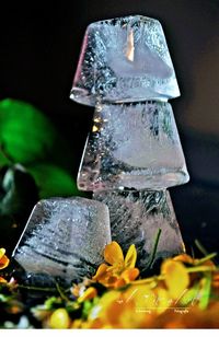 Close-up of water drops on glass door