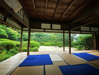 High angle view of man standing in park