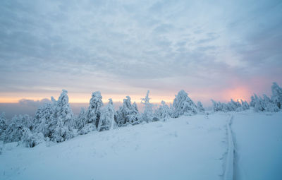 Snow covered land and trees against sky during sunrise 