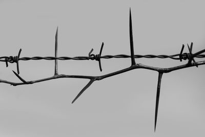 Low angle view of barbed wire against clear sky