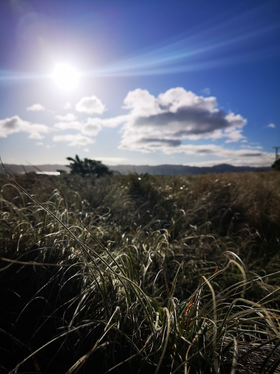 SCENIC VIEW OF FIELD AGAINST BRIGHT SUN