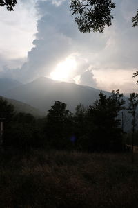 Scenic view of field against sky during sunset