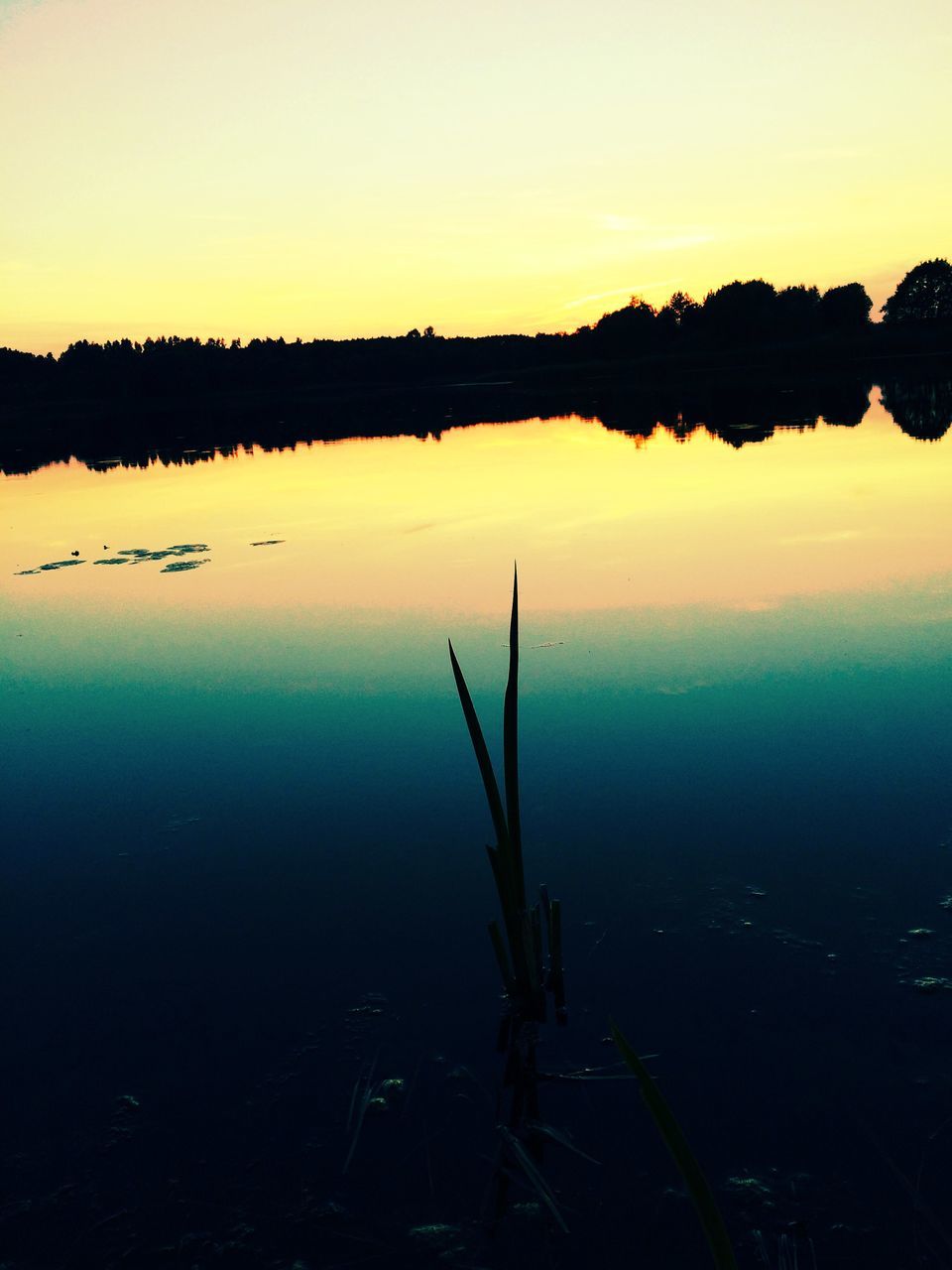 water, reflection, sunset, lake, tranquility, tranquil scene, silhouette, scenics, beauty in nature, standing water, nature, sky, clear sky, idyllic, calm, dusk, orange color, outdoors, plant, no people