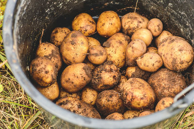 Close-up of potatoes in container