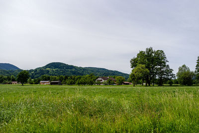 Scenic view of field against sky