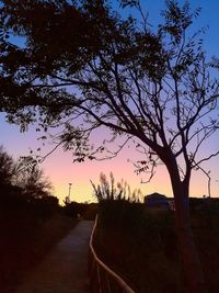 Silhouette tree by road against sky