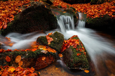 Scenic view of waterfall in forest during autumn