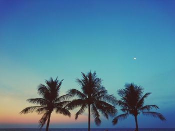 Low angle view of silhouette palm trees against clear blue sky