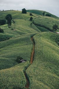 High angle view of agricultural field against sky