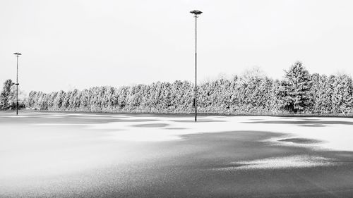 Snow covered trees against clear sky