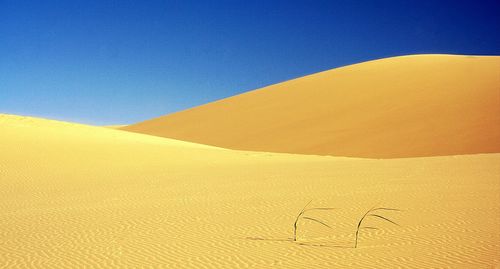 Sand dunes in desert