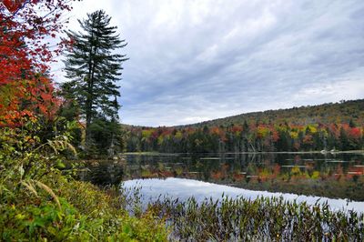 Scenic view of lake against sky during autumn