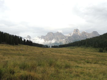 Scenic view of field against sky