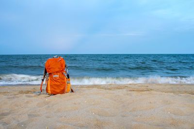 Rear view of man on beach