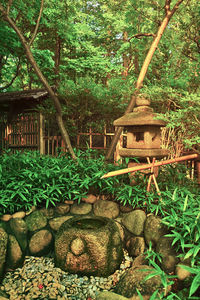 View of formal garden