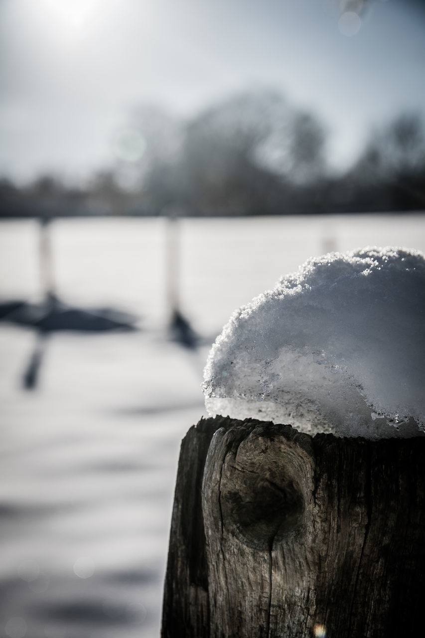 CLOSE-UP OF WOODEN POST AGAINST LAKE