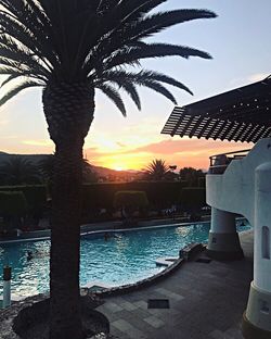 Palm tree by swimming pool against sky during sunset