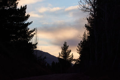 Silhouette trees on landscape against sky during sunset