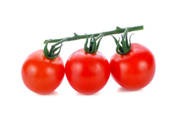 Close-up of tomatoes against white background