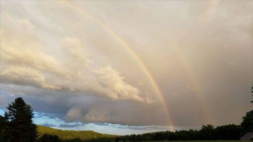 Rainbow over trees against sky