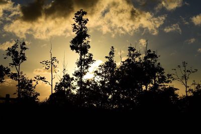 Silhouette trees against sky during sunset