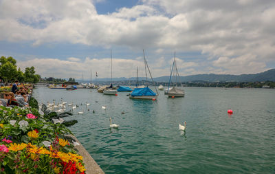 Sailboats moored in sea against sky